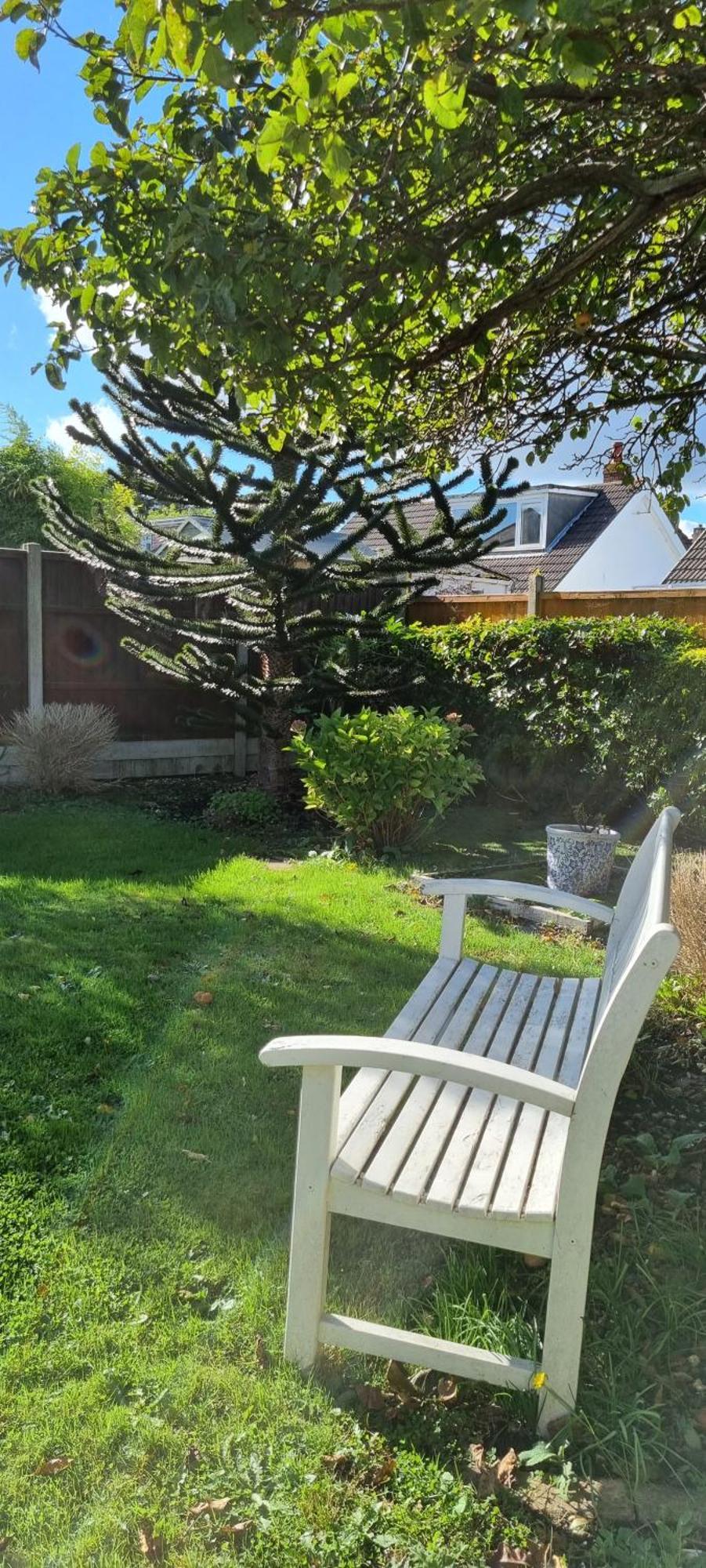 Cosy Bournemouth Bungalow Ferndown Extérieur photo